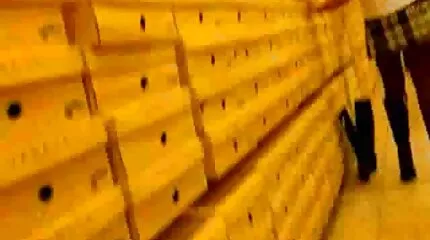 ស្រីស្អាត licks ទ្វារមាស chick និង fucks ប្រដាប់ក្មេងលេងរបស់នាង