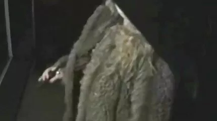 ទារក fucks ស្រលាញ់ភេទដូចគ្នាវ័យក្មេងជាមួយនឹងអណ្តាតនិងប្រដាប់ក្មេងលេងខណៈពេលដែលចំរាស់