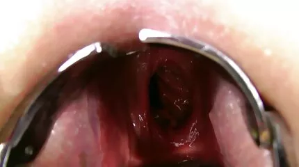 ថៅកែចាស់ទុំ fucks នៅលើស្បែក Segretario តារាង