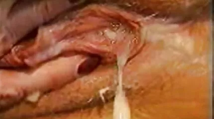 ម៉ាស៊ីនសម្ដែង fucked ប្រសិនបើ pulcino